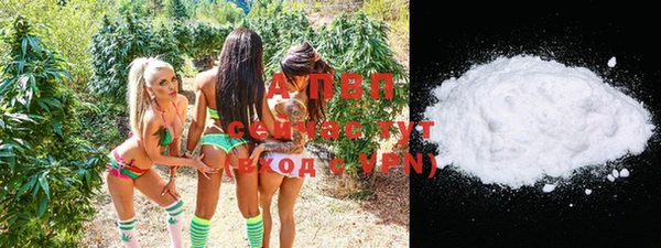 spice Переславль-Залесский